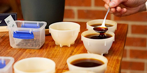 Rumble Coffee Roasters Coffee Cupping