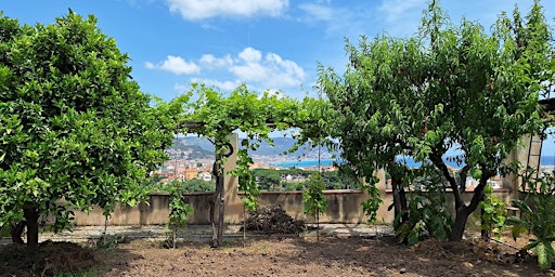 Visita Convento di Monte Carmelo 12 settembre 2026