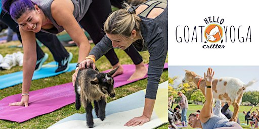 10 am Baby Goat Yoga at the L.A. Arboretum
