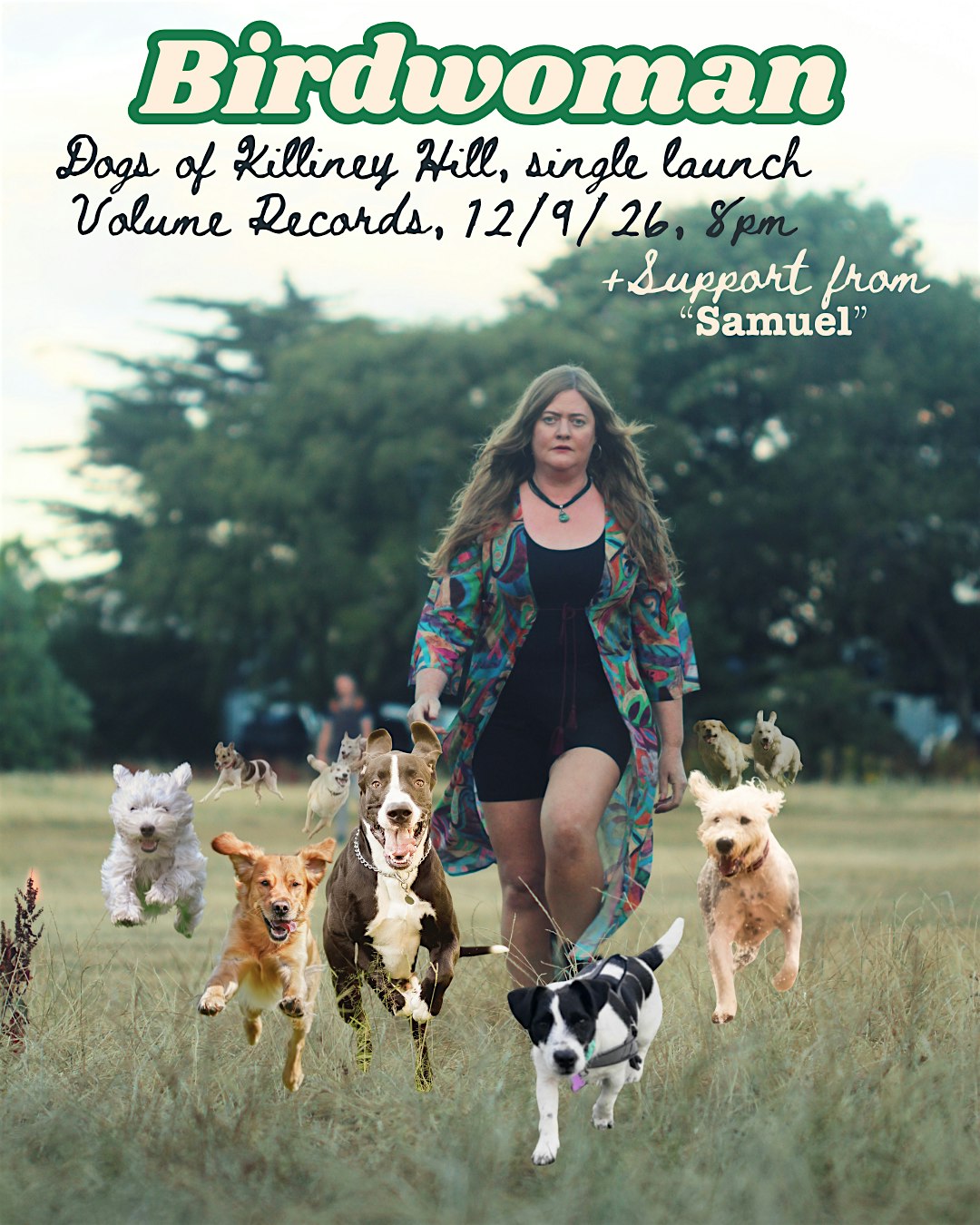 Birdwoman, Dogs of Killiney Hill Single Launch