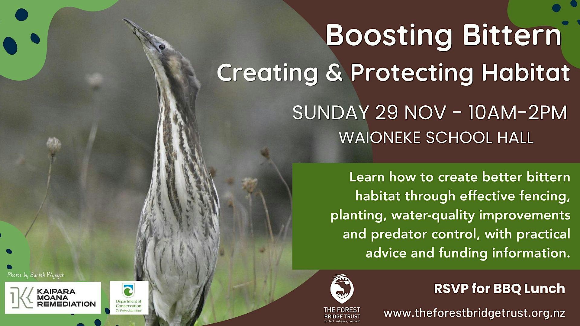 Boosting Bittern:  Creating & Protecting Habitat