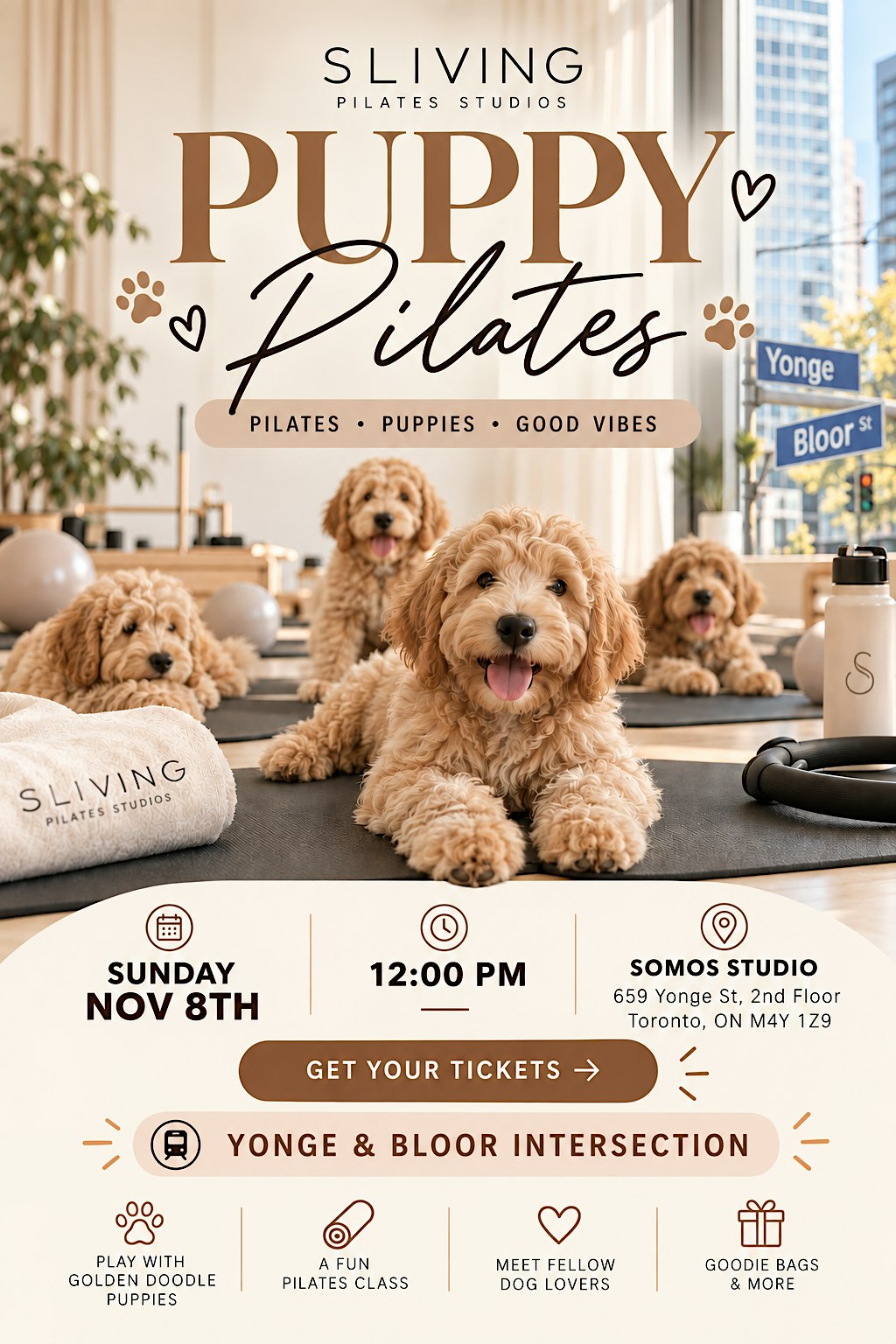 Puppy Pilates in Yorkville by Sliving Pilates