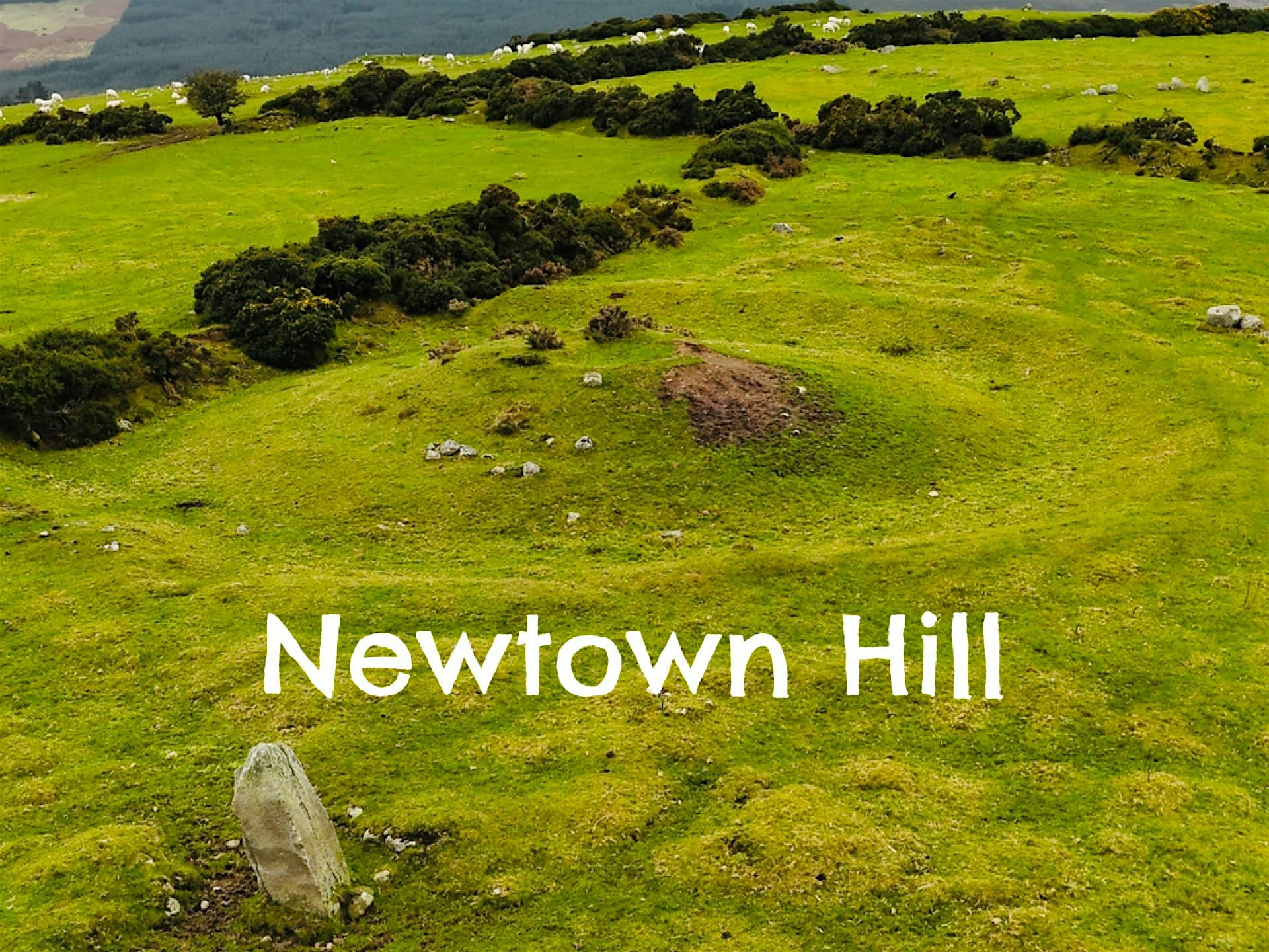 Newtown Hill Archaeology Tour