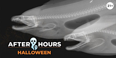 After Hours Premier: Halloween