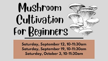 Mushroom Cultivation for Beginners