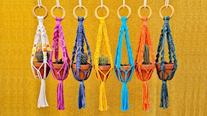 Create a Mini Macramé Plant Hanger - Fishponds