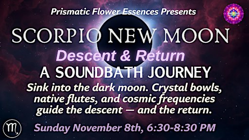 Scorpio New Moon Sound Bath: Descent & Return | Madison Heights, MI