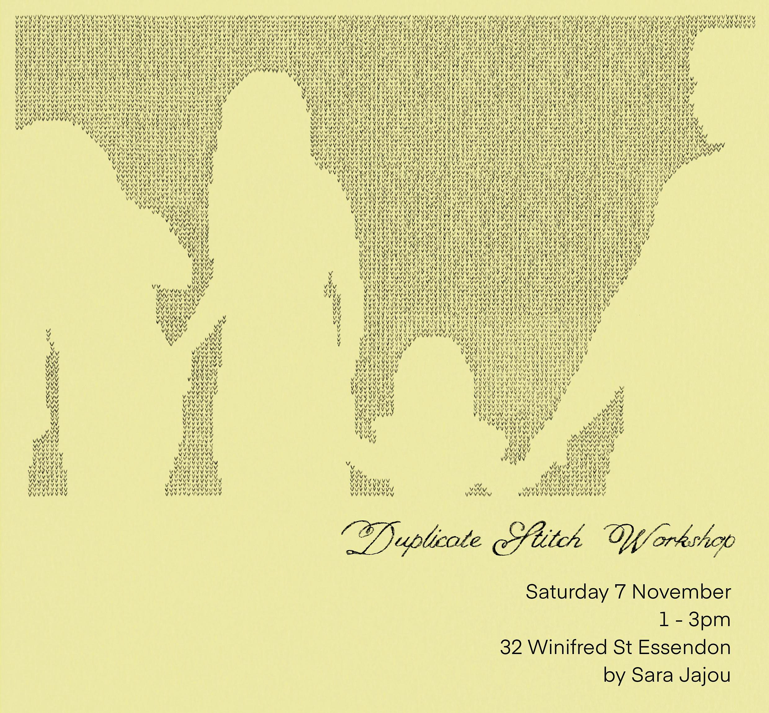 Duplicate Stitch Workhop