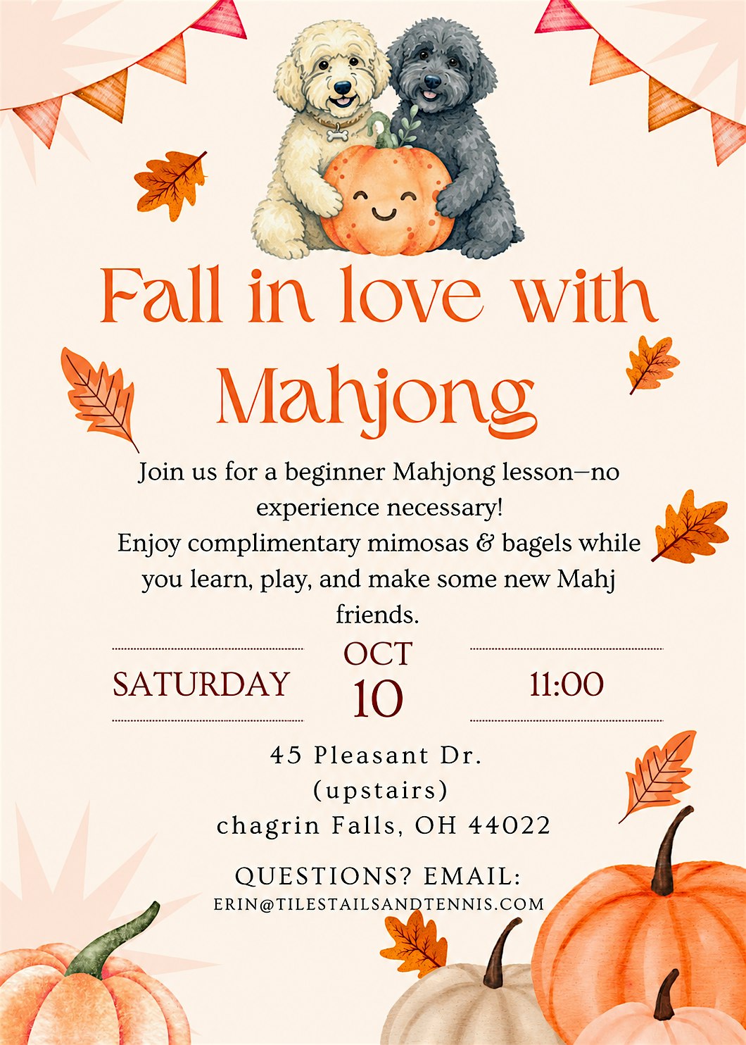Fall in love with mahjong-beginner lesson