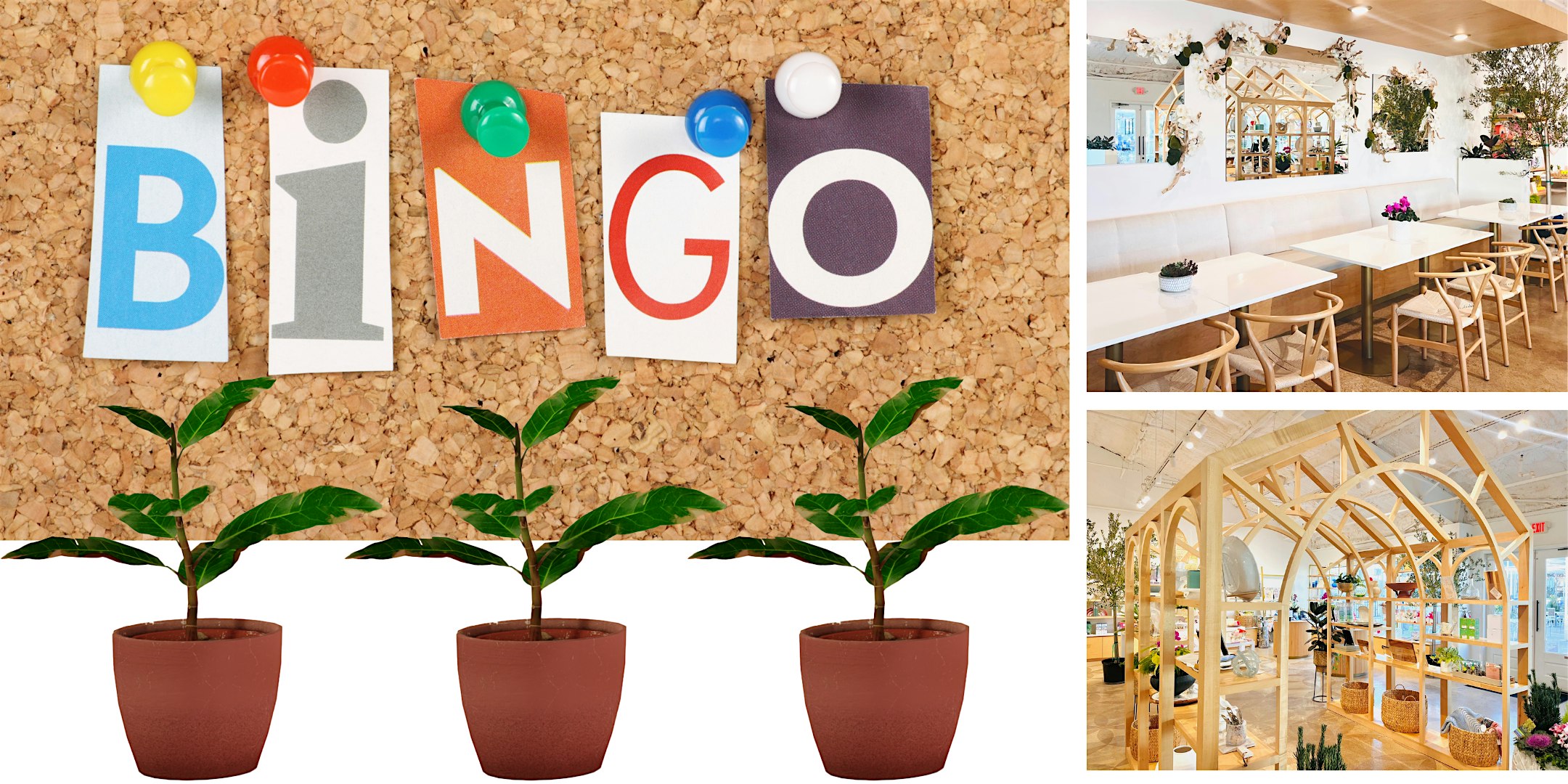 After Hours: Plant Bingo