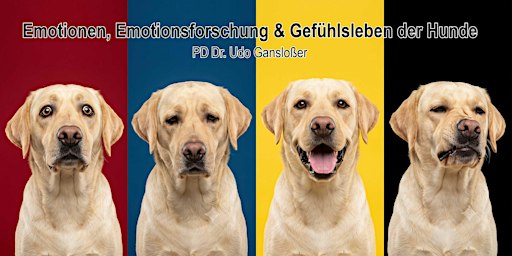 Emotionen & Gefühlswelt des Hundes (PD Dr. Udo Gansloßer)
