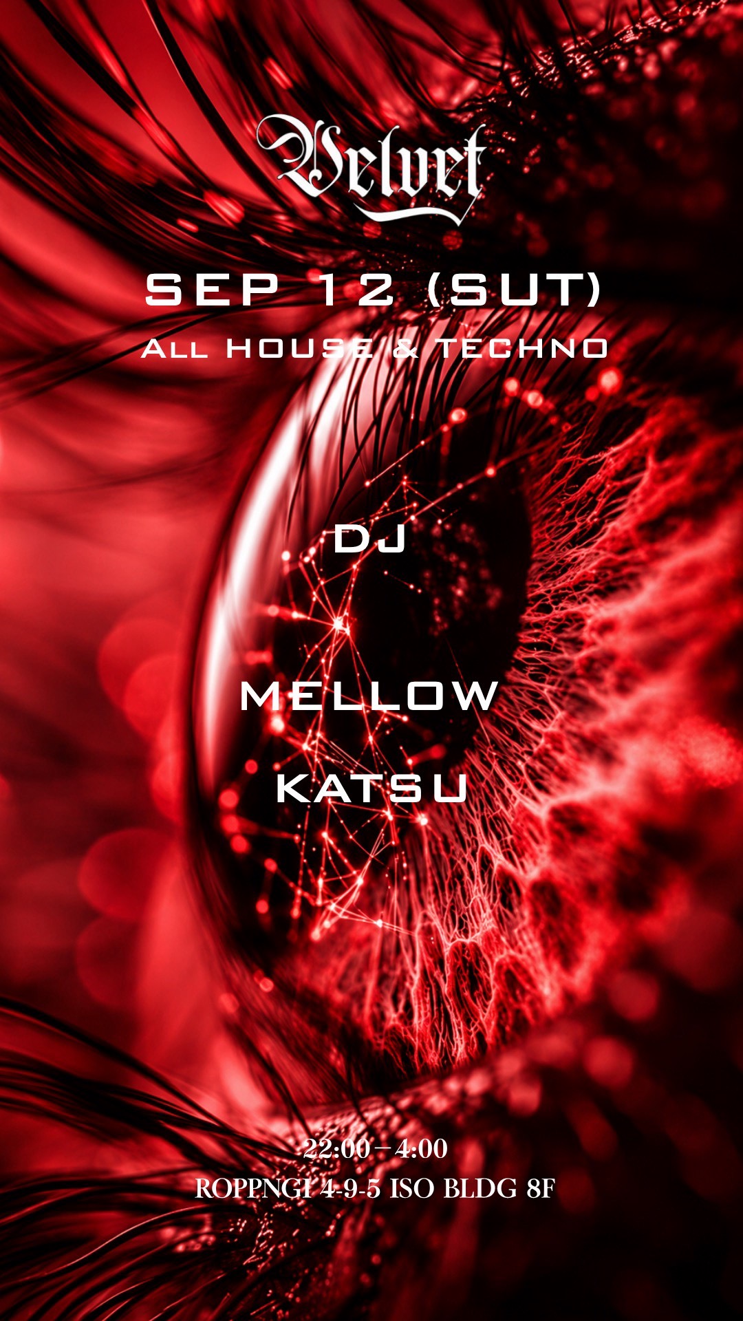 VELVET Lounge -All House & Techno-