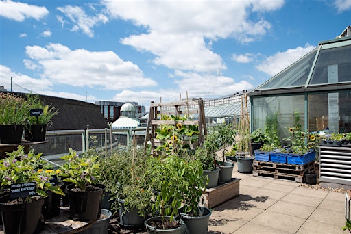 Taste of The Rooftop Farm - Autumn 2026
