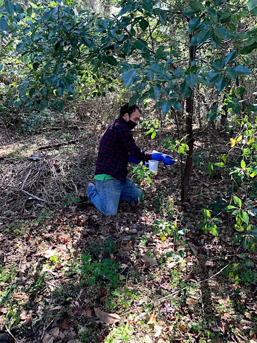 Safe Use of Pesticide Around the Home