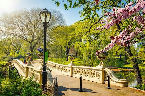 Central Park Singles Sunset Stroll (Sold Out For Men)