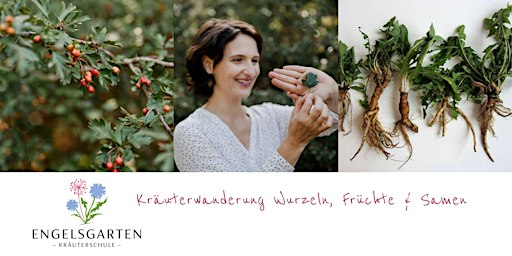 Kräuterwanderung in Wien "Kräuterwurzeln, Samen & Früchte"