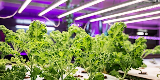 Introduction to Aquaponics