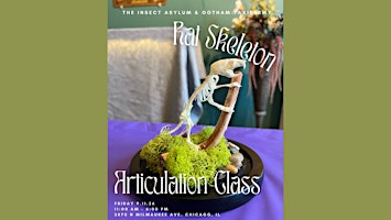 Rat Skeleton Articulation Workshop with Gotham Taxidermy