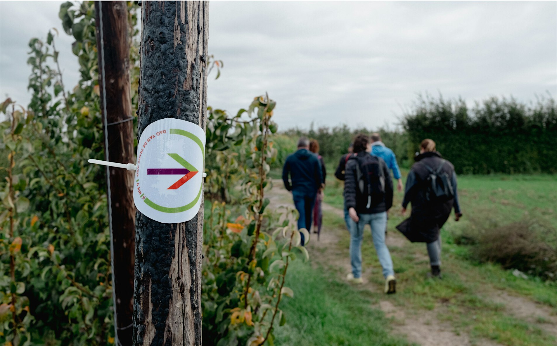 Passing on the Landscape & Trage Wegen
