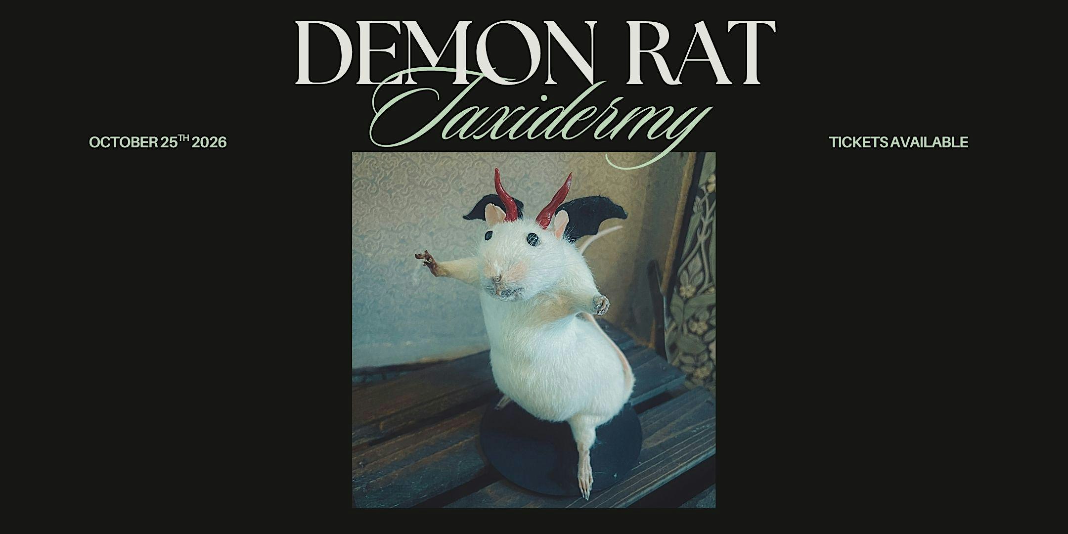 Demon Rat Taxidermy Workshop