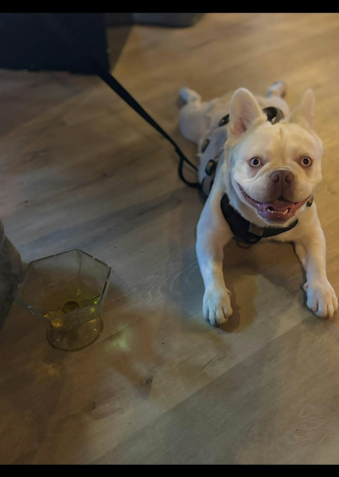 Yappy Hour!
