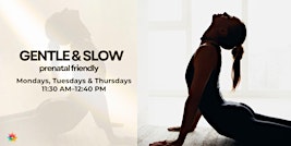 Gentle & Slow Yoga | Prenatal-Friendly | Miami Beach