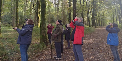 Birdwatching – Understanding More About Autumn Birds  (Tuesdays)