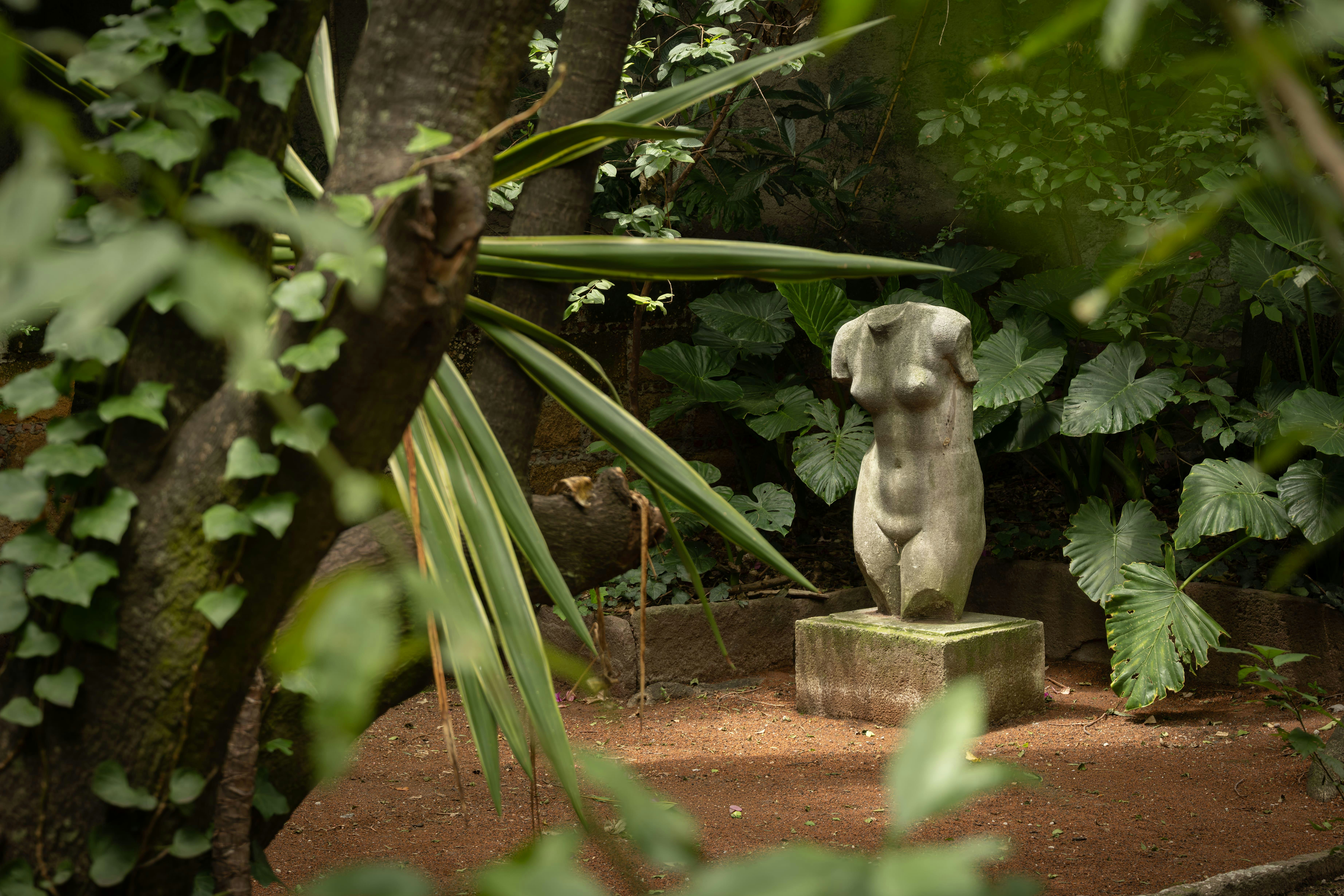 INMERSIONES CREATIVAS - CASA ORTEGA