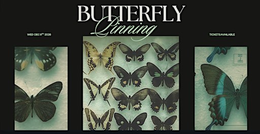Butterfly Pinning Workshop