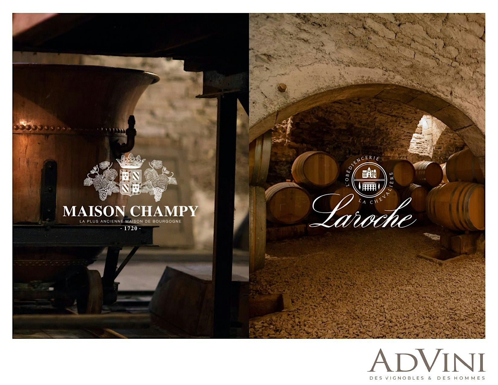 Domaine Laroche X Maison Champy au Parloir Caves-Privées