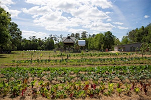 Fall 2026 Backyard Gardening Series
