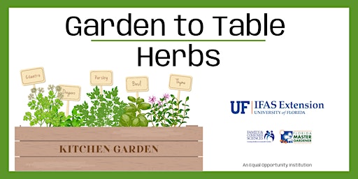 Garden to Table: Herbs