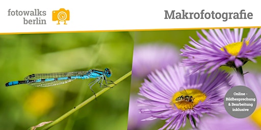 Fotokurs Berlin: Makrofotografie  Outdoor am 26.09.2026 + Bildbesprechung