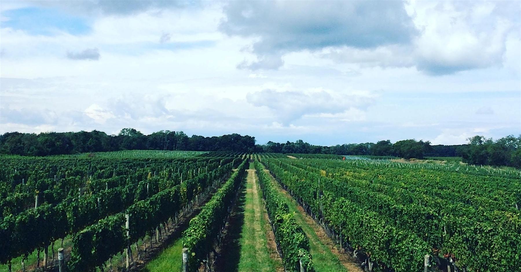 Fruit Center x Julianne's Kitchen & Bar Wine Dinner