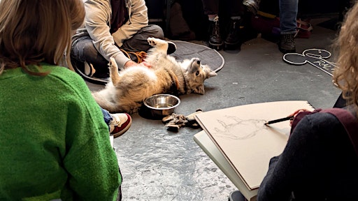 Dog Life Drawing at The Greenhouse, Bedminster, Bristol - Autumn Season