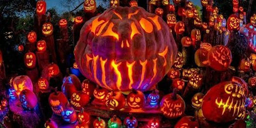 St Brigid's Road National School Halloween Pumpkin Exhibition Evening 2026