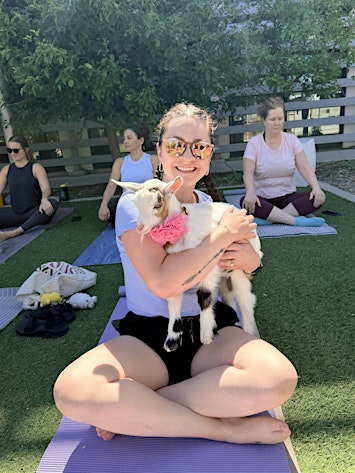 Baby Goat Yoga with Denver Love Goats