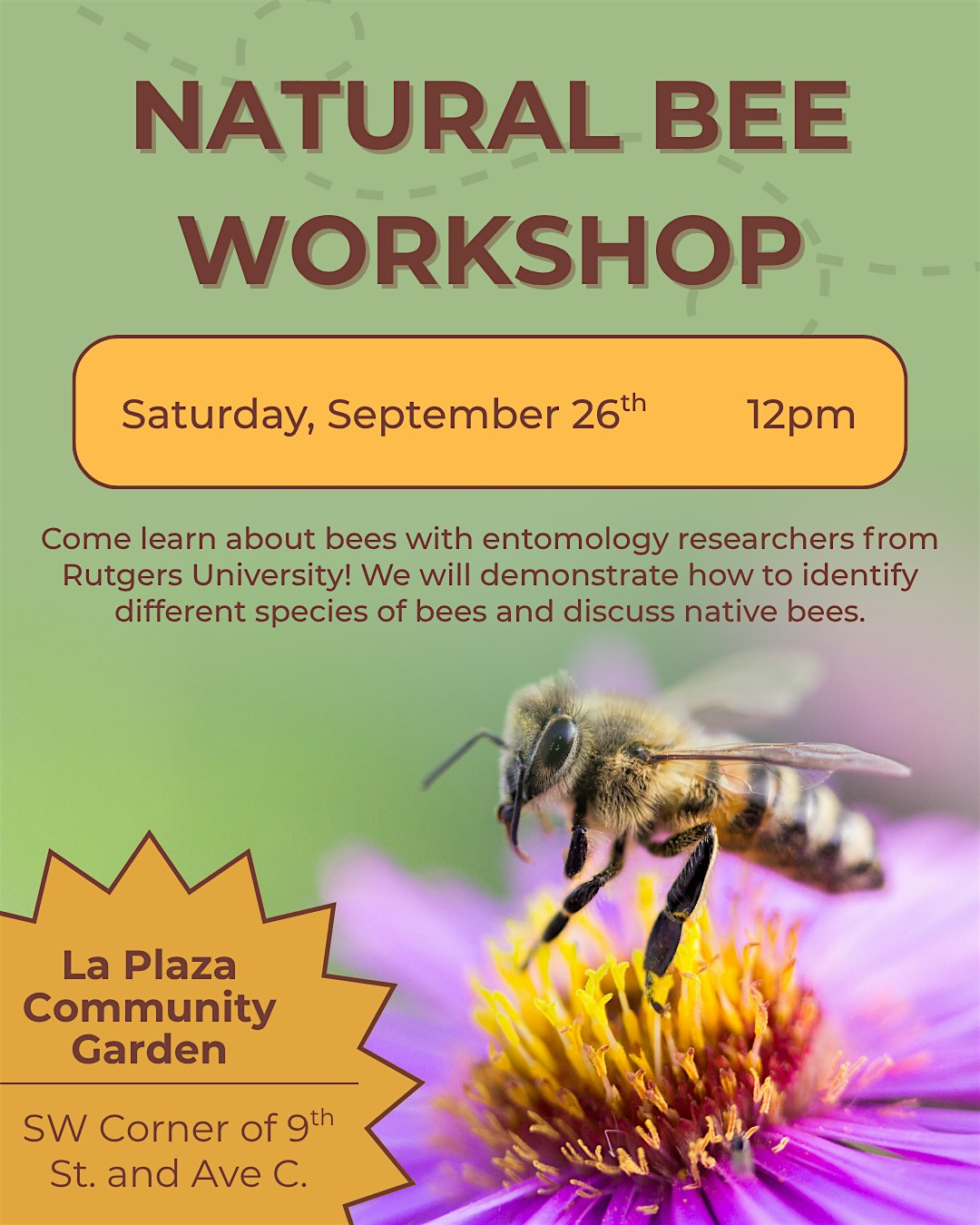 NATIVE BEE WORKSHOP