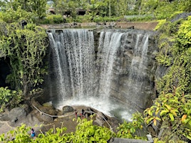 Bird Paradise Waterfall - Mandai T15 - Pang Sua Pond