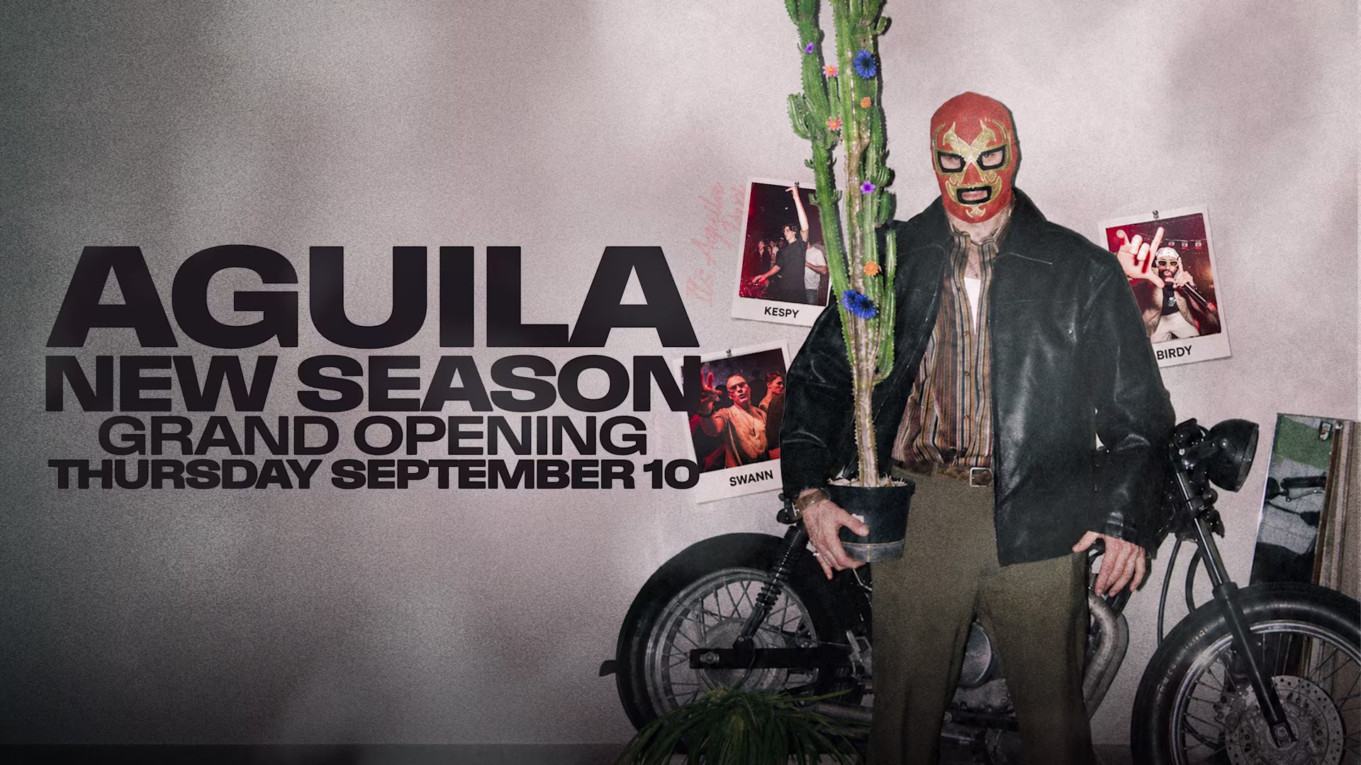 Aguila Opening Edition