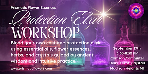 Protection Elixir Workshop