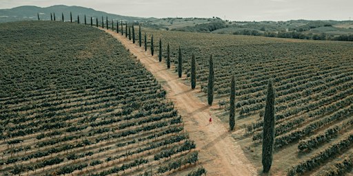 "Italienischer Abend – Vino & Dolce Vita im Maison“
