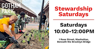 Stewardship Saturday at Gotham Park (Garden & Clean Up)