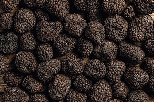 Truffle Festival