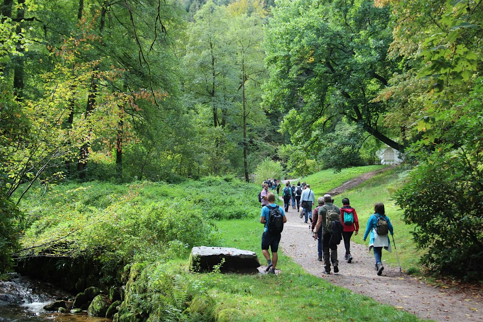 Singlewanderung Freudenstadt: Lombacher Genusswanderweg (40 - 55 J.)