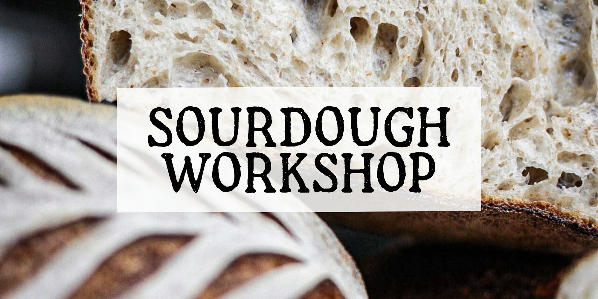 Mastering Sourdough - The Quest for the Perfect Loaf