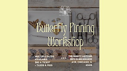 Butterfly Pinning Workshops