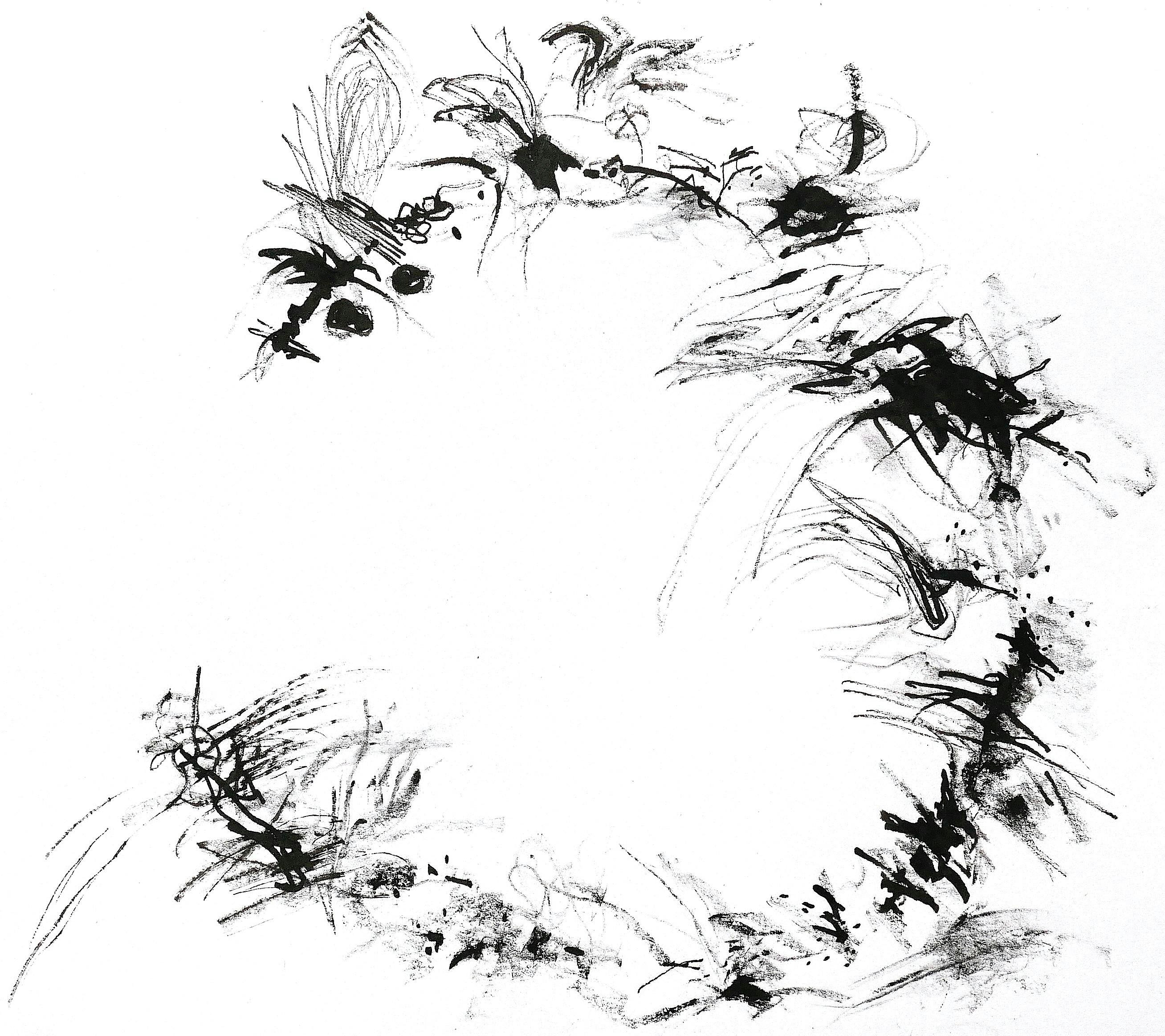 Adult Workshop: Sensing the Plants - Sensory Drawing Session