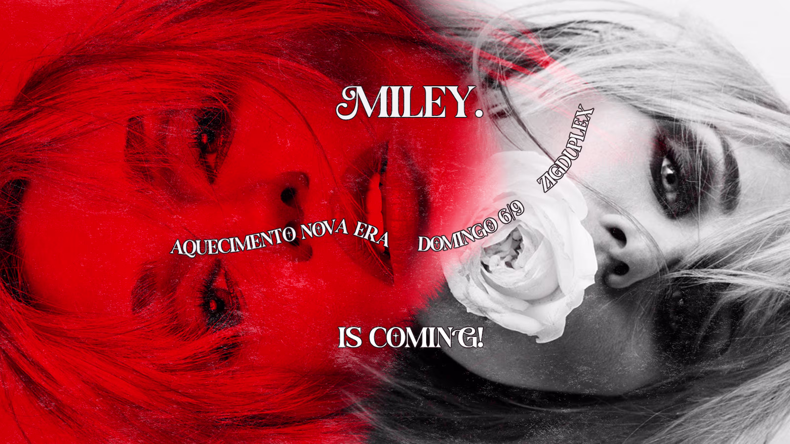 Miley (Ponto) Está Chegando! Dom Véspera De Feriado 6/9