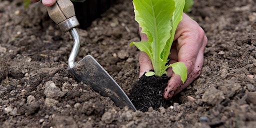 Ultimate Beginner Garden Workshop with Farmer Jeff 9.19